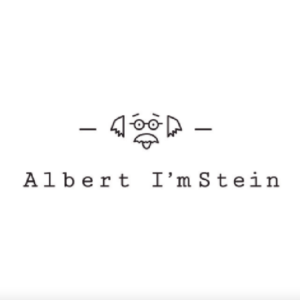 albert i'm stein Albert I'm Stein